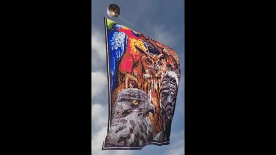 Colorful balloon display featuring animals soars in La Ceja