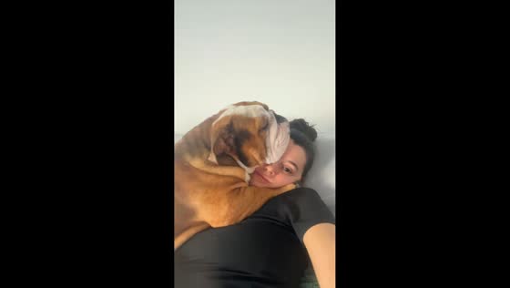 Heartwarming hug from English Bulldog in Miami, Florida, USA