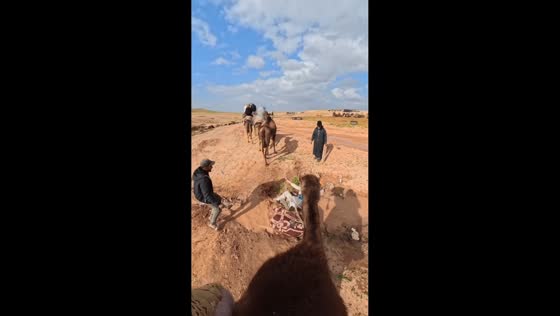 Woman falls from camel into puddle in Agafay Desert, Morocco