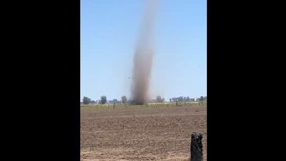 Man holds fence post amid dust devil in Argentina