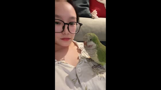 Monk parakeet mimics owner’s strange sounds in Jilin, China