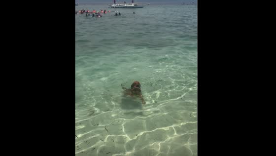 Dog swims and dives to retrieve stone in Moalboal, Cebu