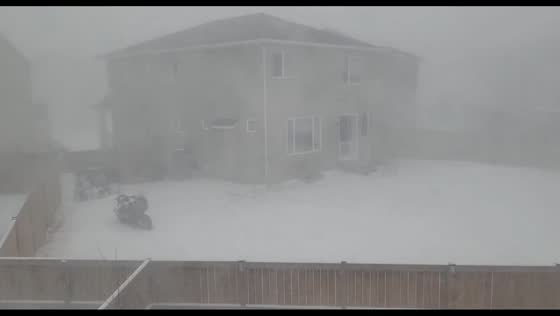 Powerful snow blizzard hits Calgary, Canada