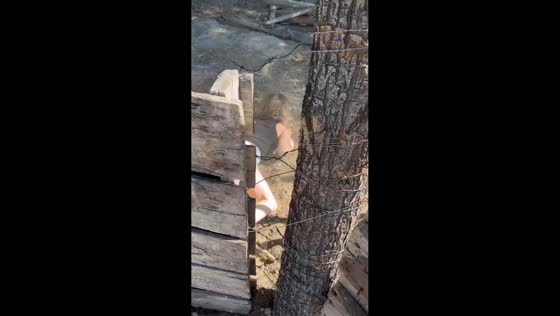 Woman fails attempt to climb fence in General Roca, Argentina