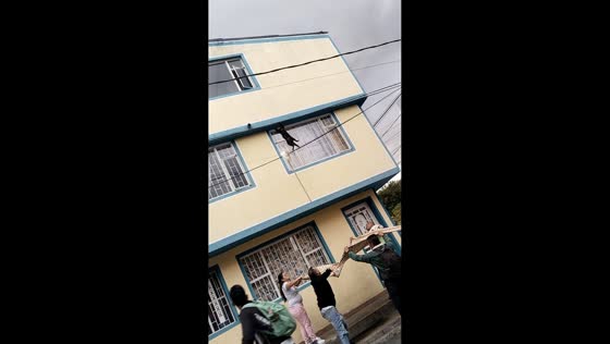 People rescue cat falling from overhead wires in Bogotá, Colombia