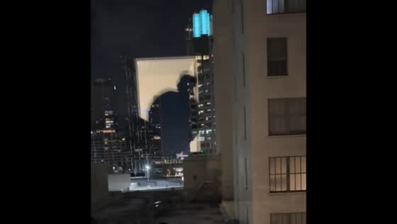 Startling shadow figure caught on camera in Los Angeles window recording