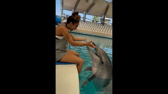 Dolphin interaction in Antalya