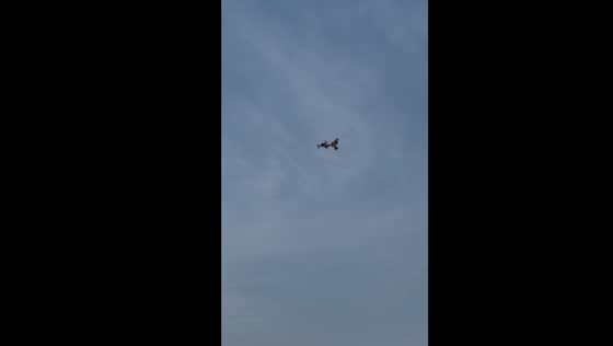 Bird vs. drone: aerial showdown in Mexico City