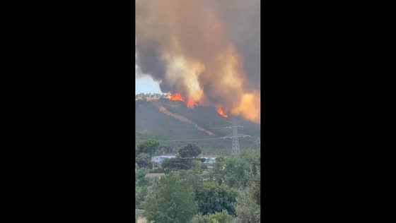 Raging wildfire burns through forests in Cáceres, Spain