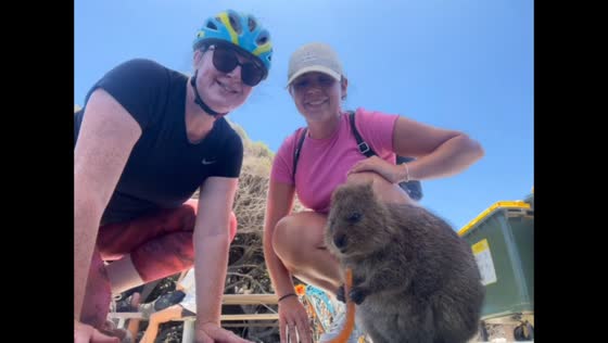 Quokka mistaken for eating carrot, revealed as jelly snake treat in Rottnest Island, Australia