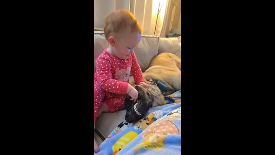 Toddler laughs after dog sneezes during playful moment in Spring Creek, USA