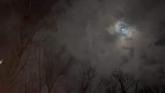 Powerful nor’easter brings six inches of snow to North Carolina, USA