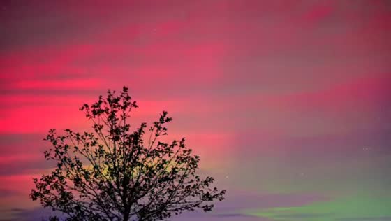 Aurora colors paint the night sky in Woodbine, Maryland, USA