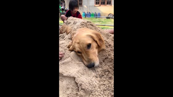 Kids cover dog with sand in playful moment in Phuket, Thailand