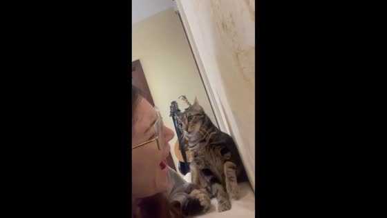 Cat reacts to owner singing Sanremo song in Squinzano, Italy