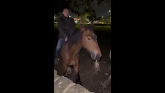 Leeds horse riding mishap at night