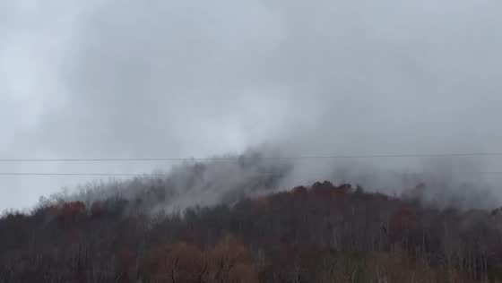 Thick fog settles over rainy hillside in Gray, Kentucky, USA