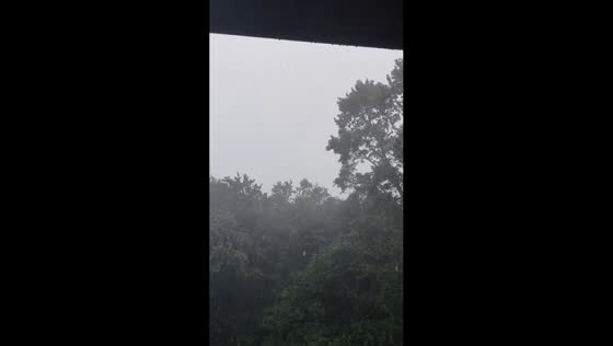 Thunderstorm with strong winds and heavy rain hits Bristol, Tennessee, USA