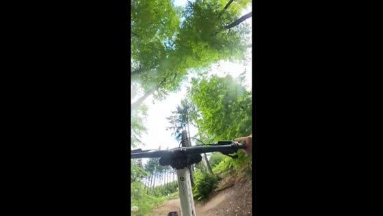 Mountain bike backflip attempt ends in fall on forest trail in Winterberg, Germany