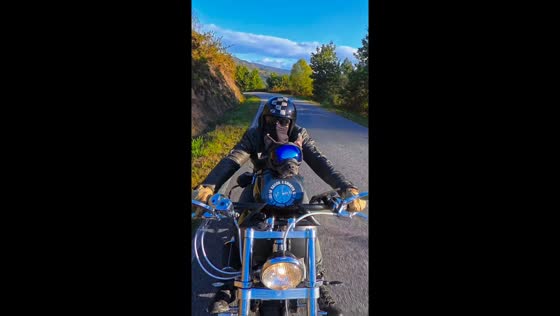 Pet dog enjoys a motorcycle ride in Barcelona, Spain