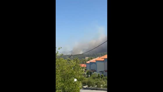 Strong winds fuel wildfire near Siviri as flames and smoke spread across Greece