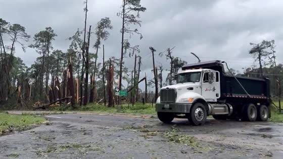 Devastating EF-2 tornado strikes pine forest near Jasper, TX