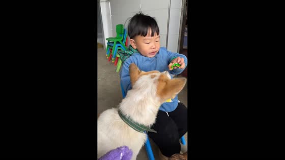 Boy's snack snatched by dog in Hunan, China