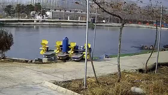 Two men rescue boy from lake in Shandong province