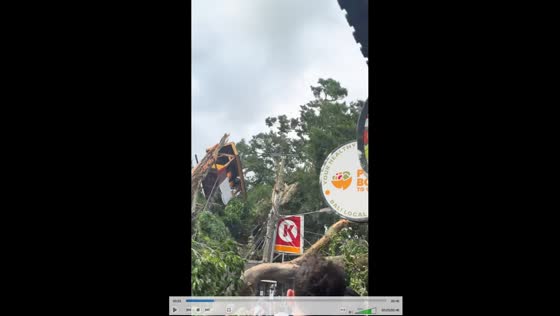 Sudden tree collapse startles bystanders in Bali, Indonesia