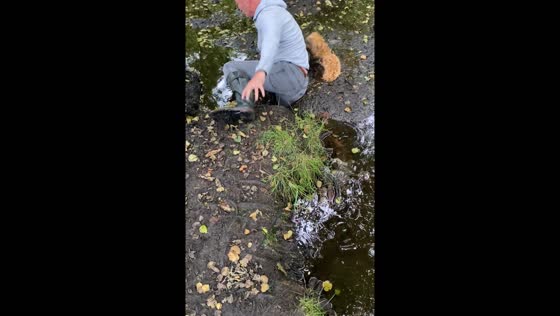 Dad and dog both get stuck in quick mud in Staffordshire, UK