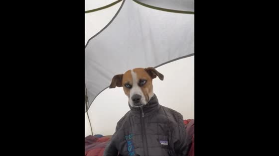The backpacking trip takes a wet turn in South Lake Tahoe