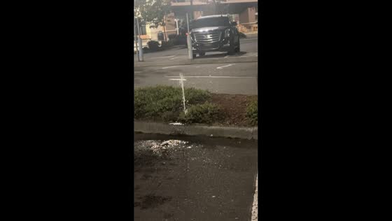Sprinkler mishap leads to unexpected joke in Mill Creek, Washington, USA