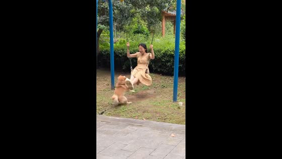 Woman accidentally kicks excited dog while swinging in Hunan, China