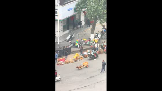 Dog pulls wooden cart along roadside in Guangxi, China