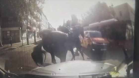 Military horses bolt through central London after losing riders