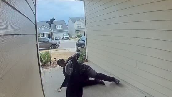 Man avoids aggressive bird attack while entering home in Middleburg, Florida, USA
