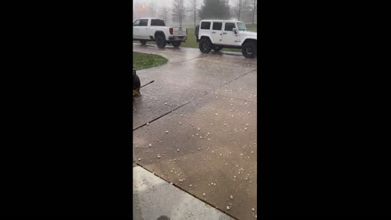 Hailstorm hits Wentzville, Missouri, USA: video shows heavy hailfall