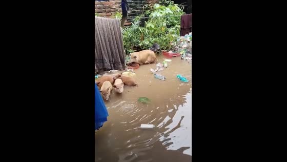 Hurricane John causes flooding in Guerrero, Mexico
