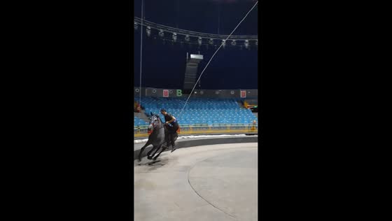 Horse trick-riding routine takes funny turn in Hebei, China