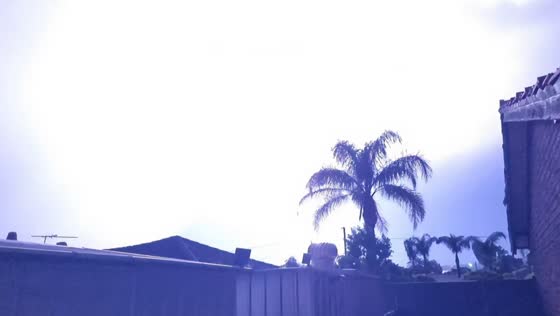 Intense lightning storm illuminates the night sky over Perth, Australia