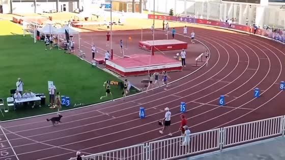Dog joins 800-meter race at Russian Junior Athletics Championships in Krasnodar