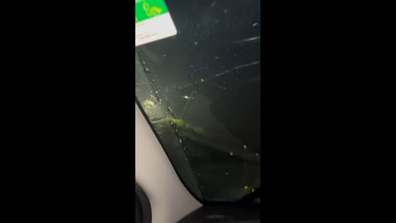 Driver cracks windshield while trying to hit spider in Deltona, Florida, USA