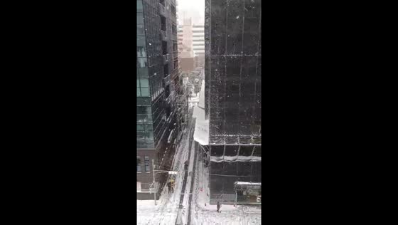 Snowfall blankets amid gusty winds in Tokyo, Japan