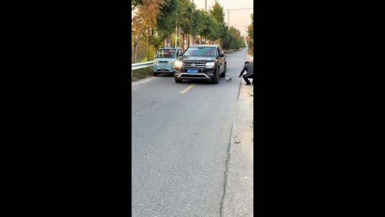 Puppy rescued from under car in Jiangsu, China