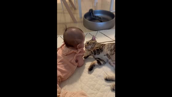 10-month-old cat and 4-month-old baby share precious moment