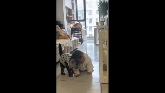 Cat comforts crawling toddler in Guizhou, China