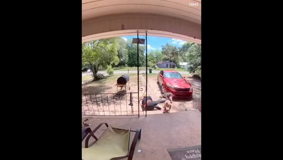 Woman slips and falls on doorstep after misstep in Albany, Georgia, USA