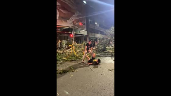 Tree removal mishap in Kaohsiung City