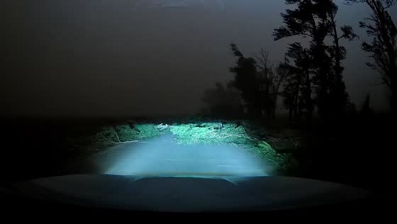 Driver caught in massive dust storm on rural road in Harbin, China