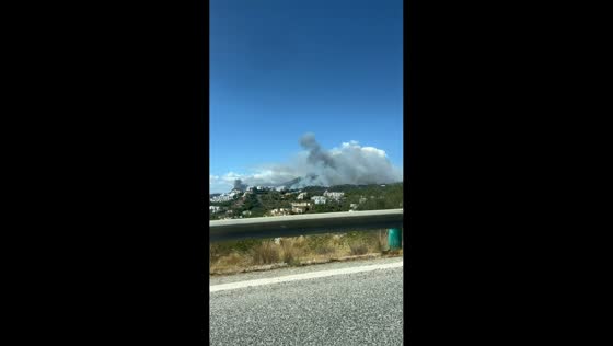 Wildfire burns hundreds of hectares as strong winds fuel blaze near Benahavís, Spain